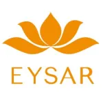 伊萨智能电梯有限公司